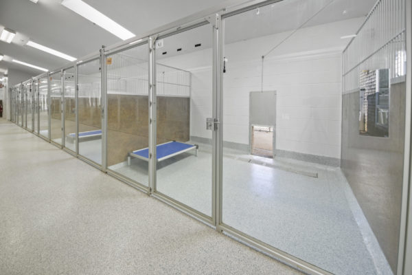 Kennel