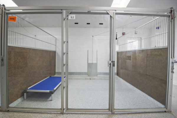 Kennel