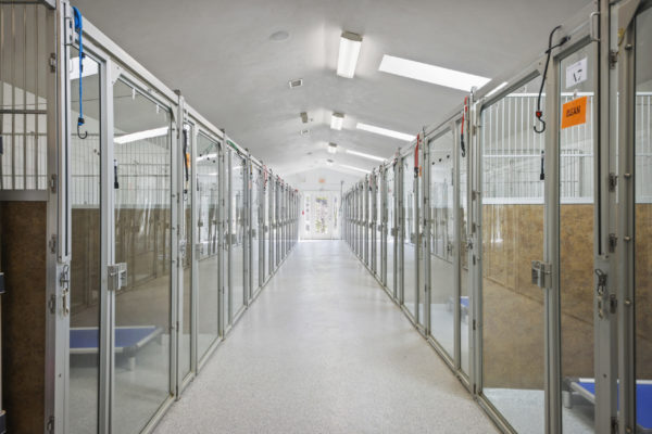 Kennels